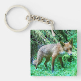 Röd Rävlilja Gammaldags Staketstolpe Naturskön Sko