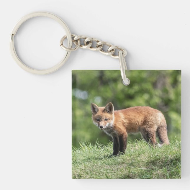 Röd rävsats (Framsidan)