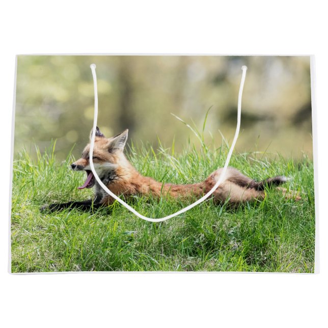 Röd rävsats (Framsidan)