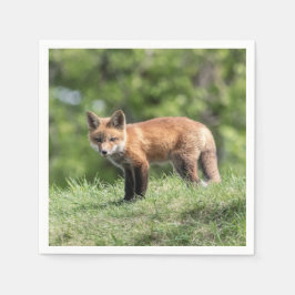 Röd rävsats pappersservett