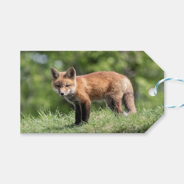 Röd rävsats presentetikett (Framsidan (Horisontell))