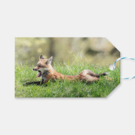 Röd rävsats presentetikett