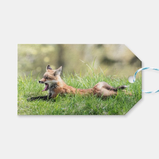 Röd rävsats presentetikett (Framsidan (Horisontell))