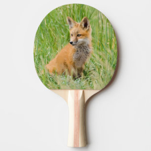 Röd rävunge i gräs nära ly pingisracket