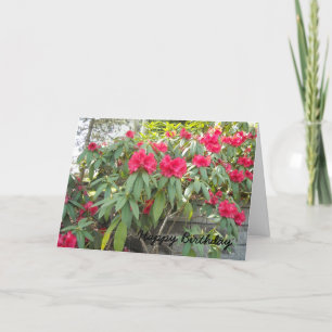 Röd Rhododendron Kort