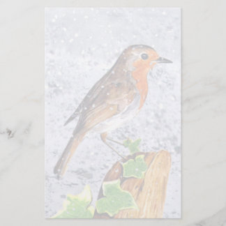 Röd robin i snö art