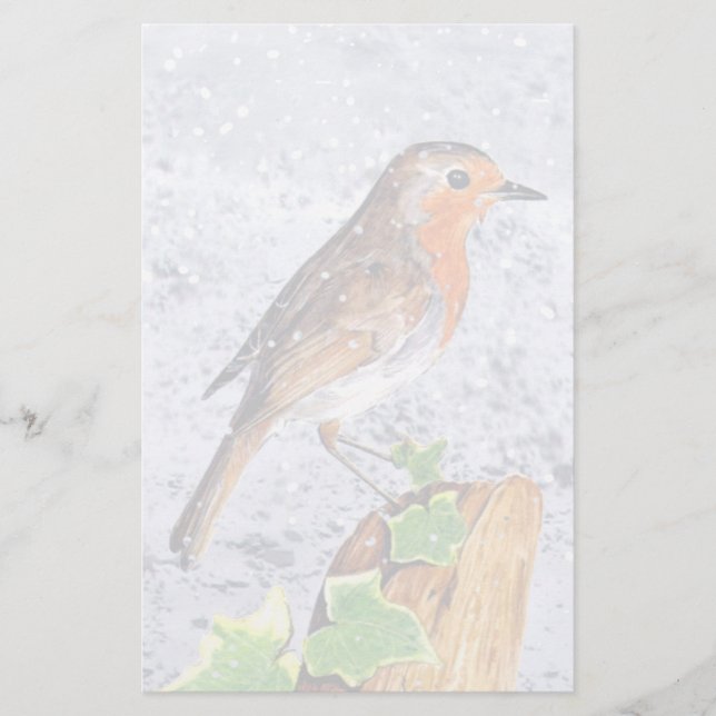 Röd robin i snö art (Framsida)