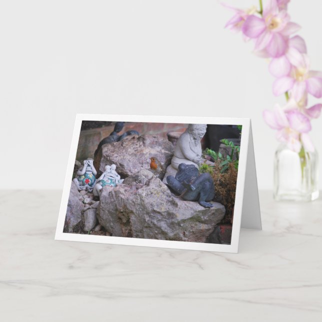 Röd Robin På Klipphylla Kort (Orkide)