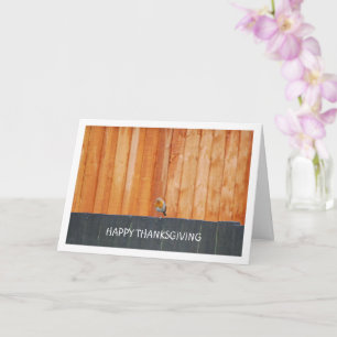 Röd Robin På Staket Kort