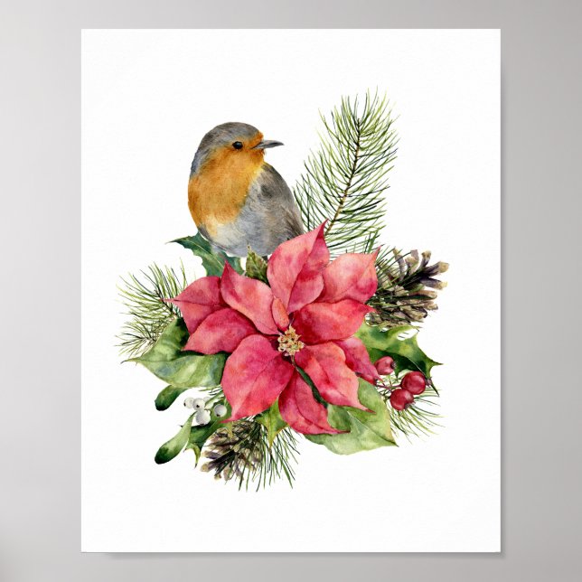 Röd robin, Poinsettia, gräs, holly jul Poster (Framsidan)