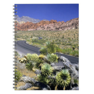 Röd Rock Canyon National Conservation Area, Las Anteckningsbok
