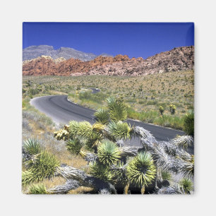 Röd Rock Canyon National Conservation Area, Las Magnet