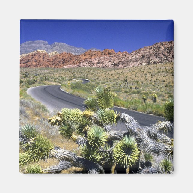 Röd Rock Canyon National Conservation Area, Las Magnet (Framsidan)
