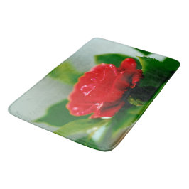 Röd ros av passion täckt med daggdroppar badrumsmatta