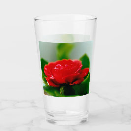 Röd ros av passion täckt med daggdroppar glaskopp