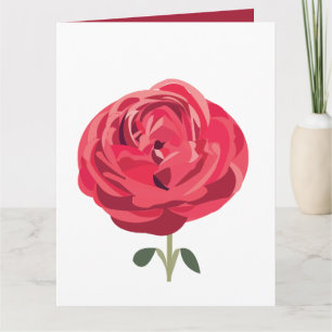 Röd Ros Blomma Blommig Röd Ros Hälsning Kort