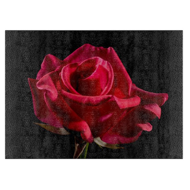 Röd ros blomma blomning (Framsidan)