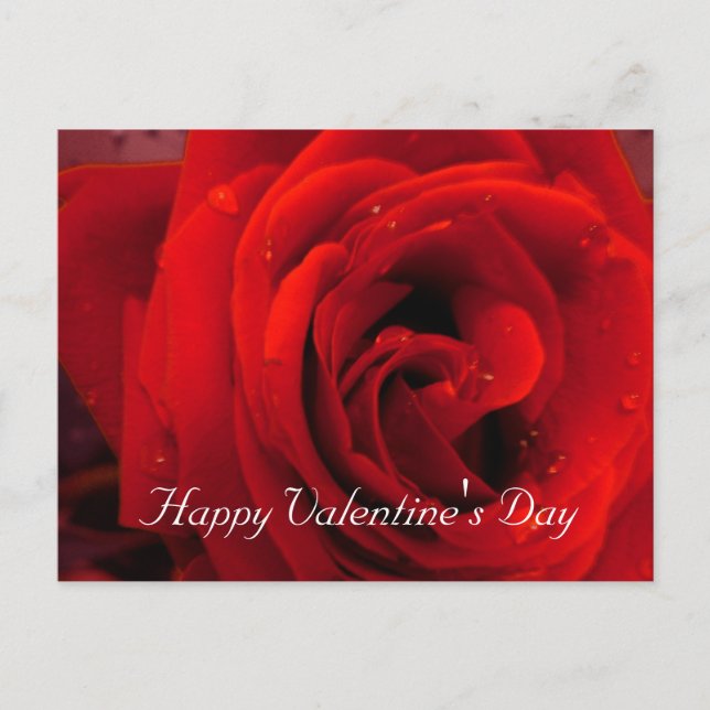 Röd ros blomma helg vykort (Framsida)