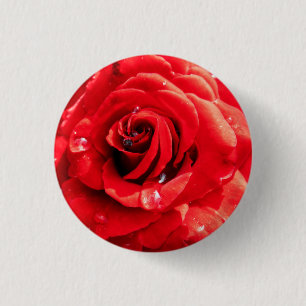 Röd ros blomma knapp