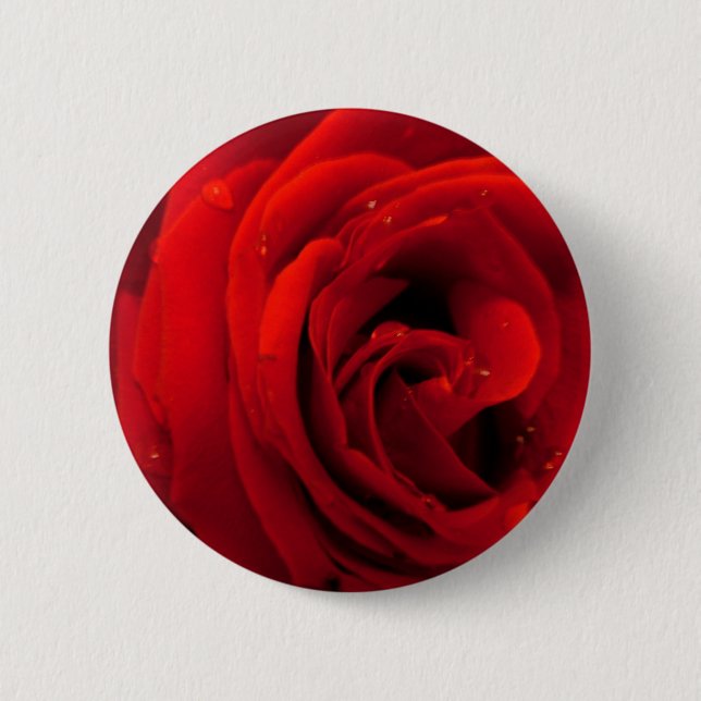 Röd ros blomma knapp (Framsida)