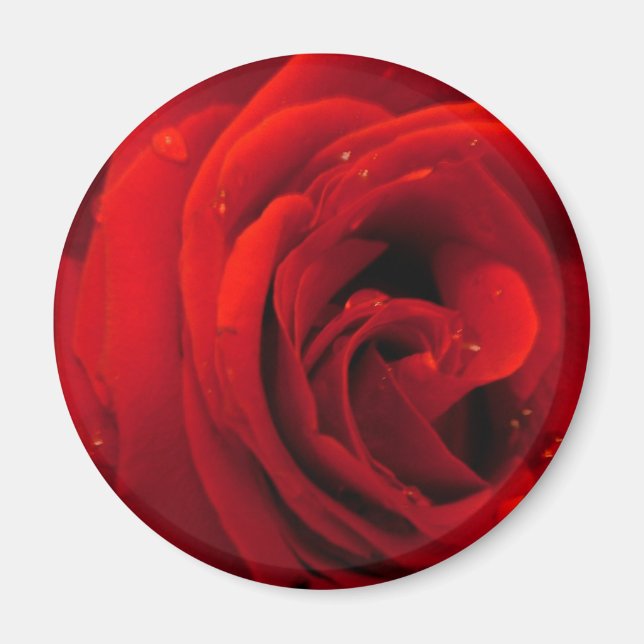 Röd ros blomma magnet (Framsidan)