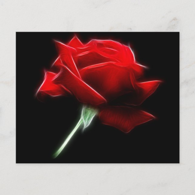 Röd ros-blommans anläggning (Framsida)