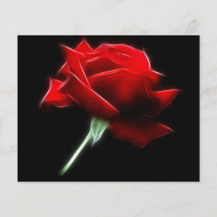 Röd ros-blommans anläggning