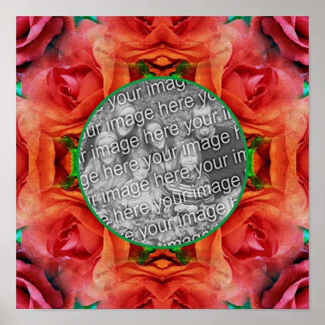 Röd ros Blommigt Natature Ram lägg till ditt foto Poster (Framsidan)