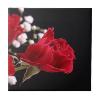 Röd ros Blommigt Tile Kakelplatta