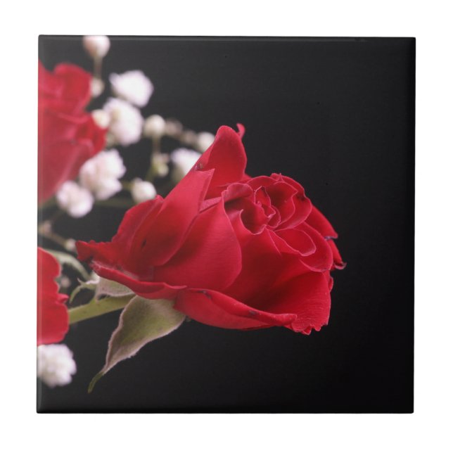 Röd ros Blommigt Tile Kakelplatta (Framsidan)