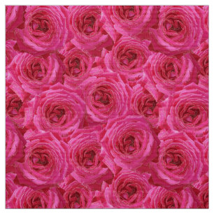 Röd ros, blommor, rött, kärlek tyg