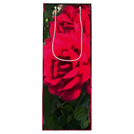 Röd Ros Blomningssäsong