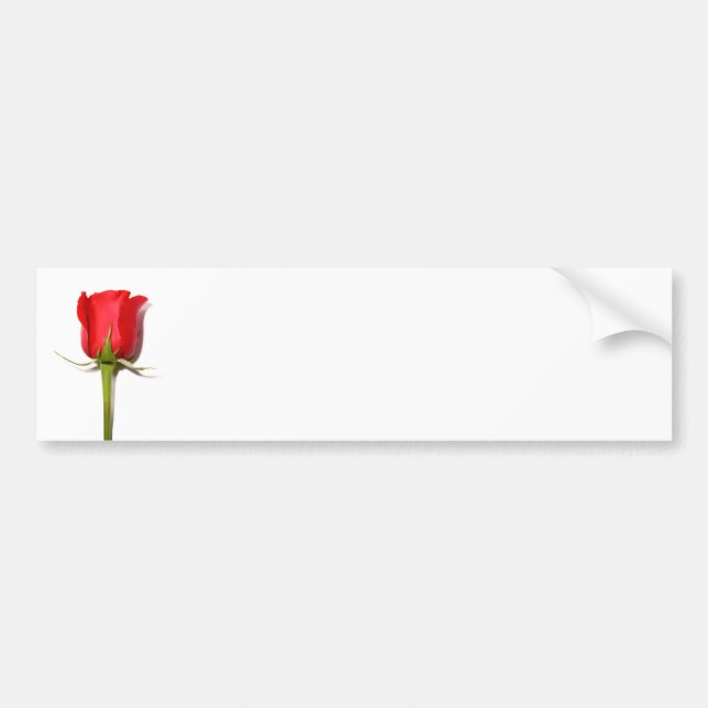 Röd ros Bumper Sticker Bildekal (Framsidan)