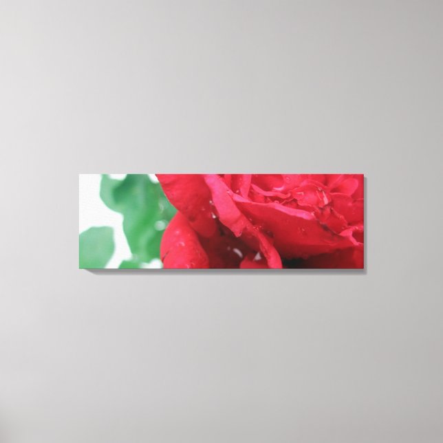 Röd ros Canvas (Framsida)
