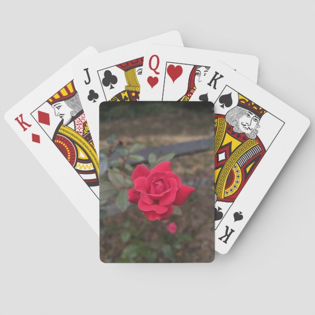 Röd ros casinokort (Baksidan)