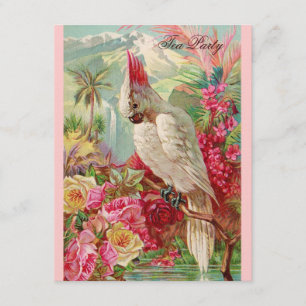 Röd ros & Cockatoo Vintage Art Inbjudningar