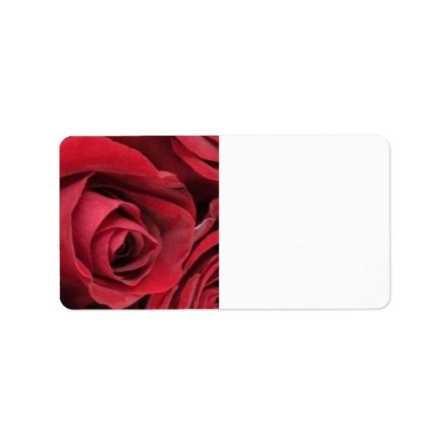 Röd ros e-postetiketter adressetikett (Framsidan)