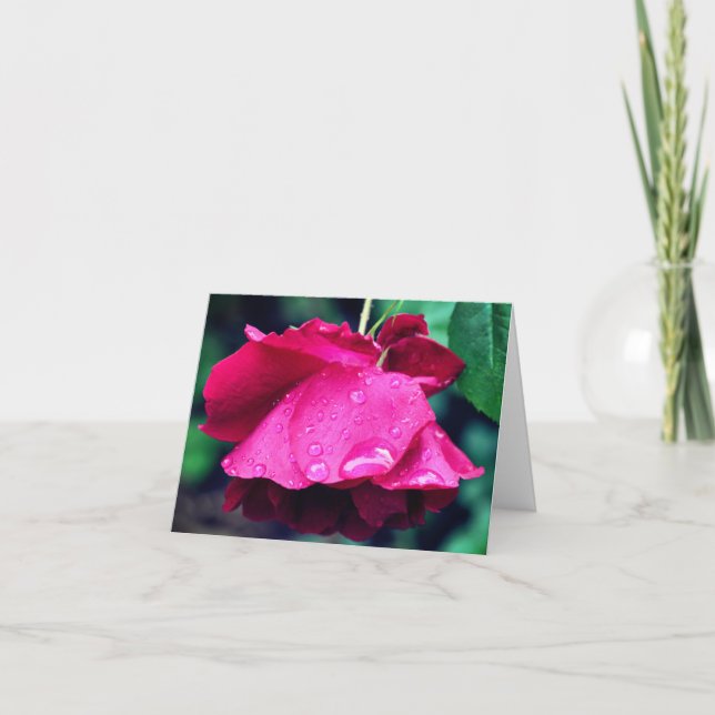 Röd ros efter regn blomfotografering  anteckningskort (Framsida)