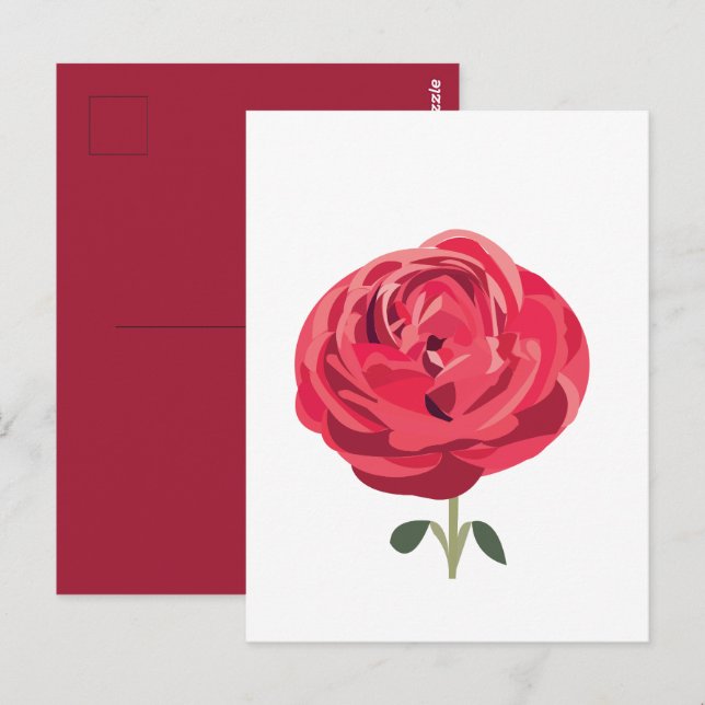 Röd ros Flower Blommigt Röd ros Vykort (Fram/baksida)