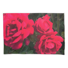 Röd ros Flowers