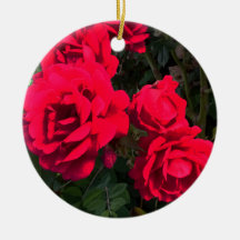 Röd ros Flowers