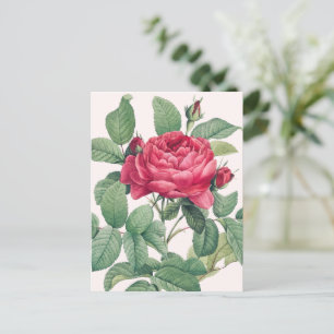 Röd ros Flowers med Grönt Löv Vykort