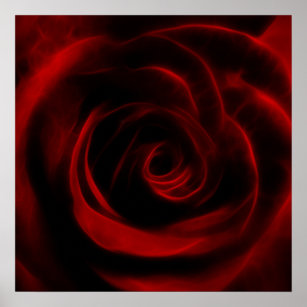 Röd ros Fractal blomma Poster