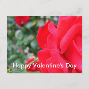 Röd ros, glad valentindag helg vykort