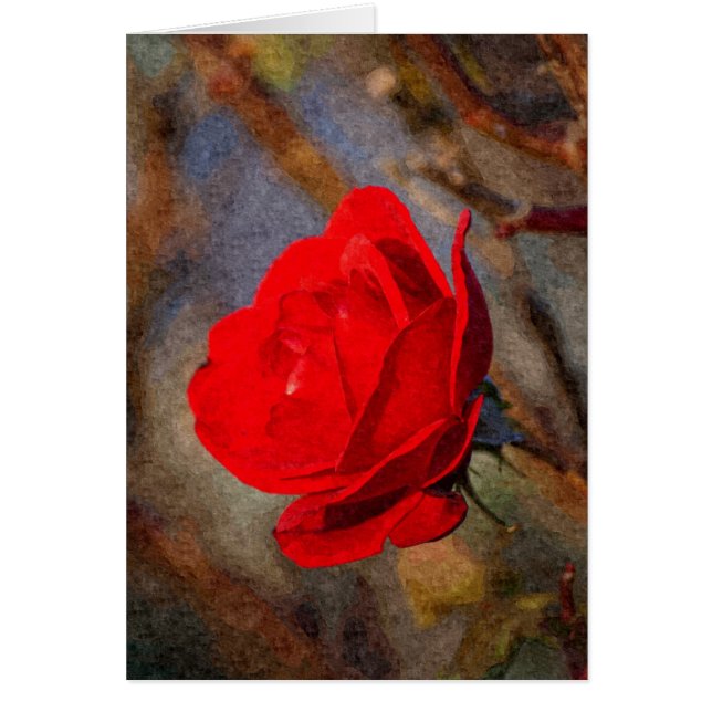 Röd ros hälsningskort (Framsidan)