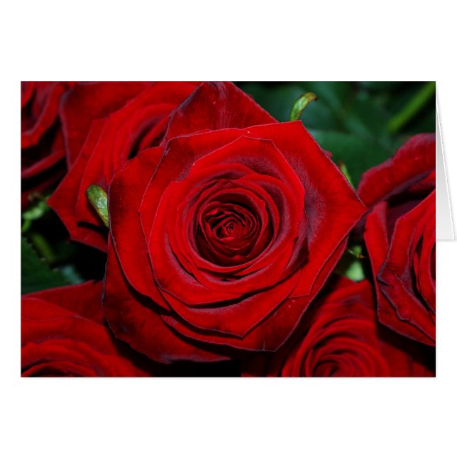 Röd ros hälsningskort (Framsidan Horizontal)