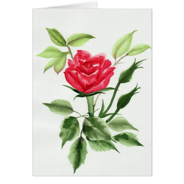 Röd ros hälsningskort (Framsidan)