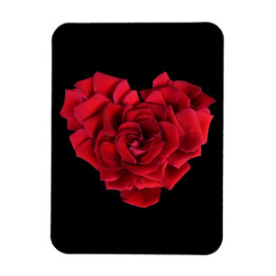Röd ros Heart Black Magnet