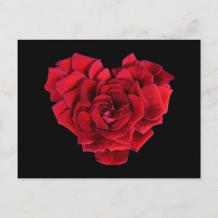röd ros Heart Vykort