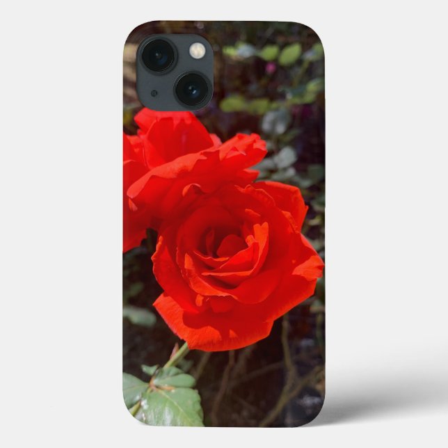 Röd ros iPhone 13 Fodral (Baksida)